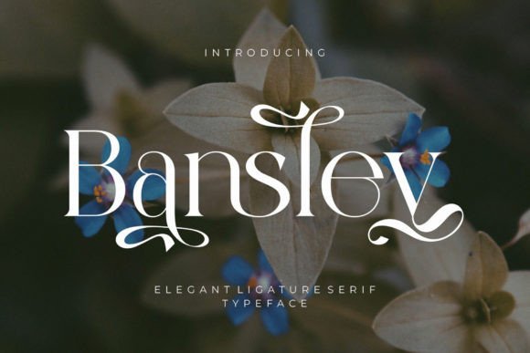 Bansley Font: A Timeless Serif for Digital Design Projects