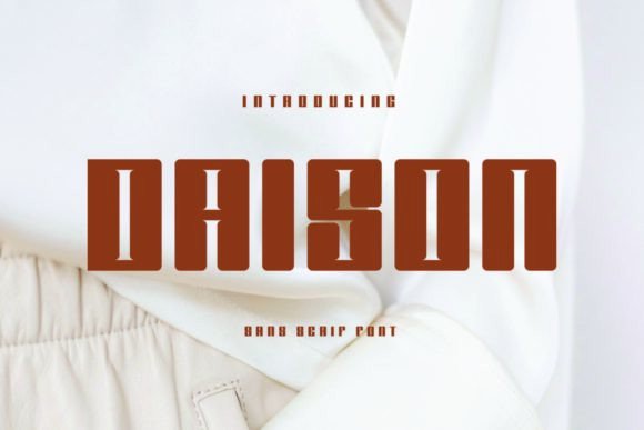 Daison: A Modern Sans Serif Font for Editorial Design