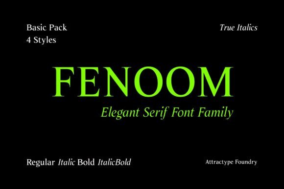 Fenoom Font Review: A Stylish Serif for Modern Branding Projects