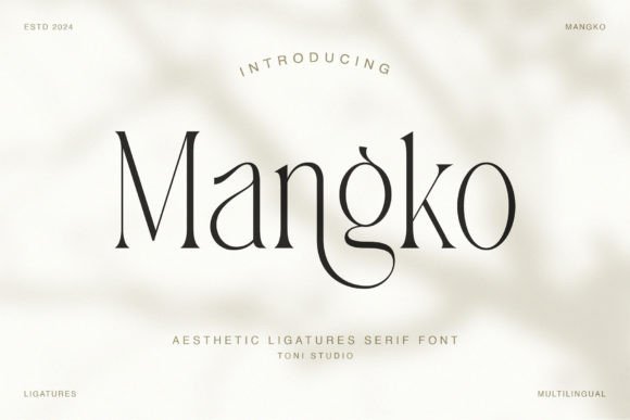 Mangko: A Thoughtful Serif for Modern Design Projects