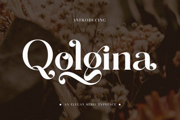 Qolgina: A Premium Serif Font for Professional Branding