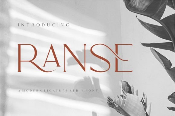 Ranse Font: A Practical Review for Marketers and Designers