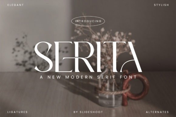 Serita Serif: A Font That Elevates Brand Campaigns