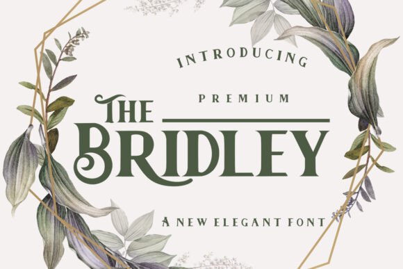 The Bridley Typeface: A Designer’s Journey Through Branding